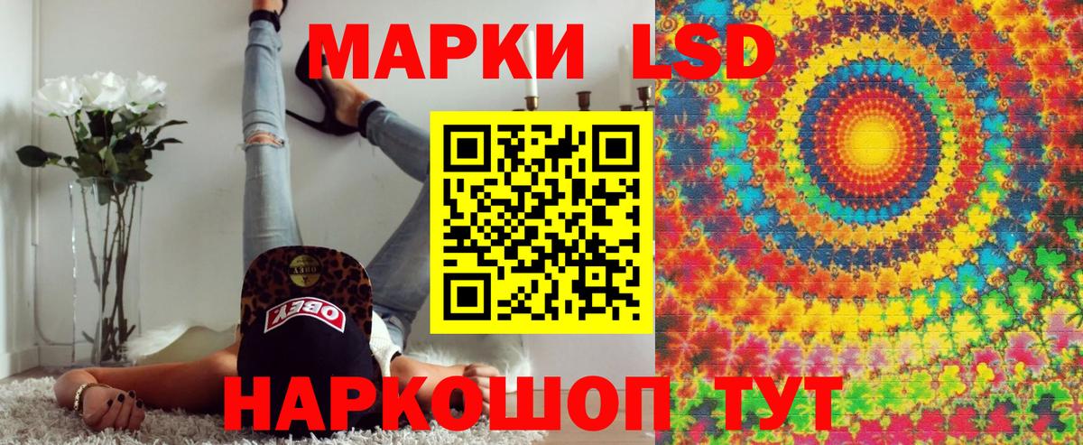 Лесной  Марки NBOMe 1,5мг  где купить   Вход с VPN 