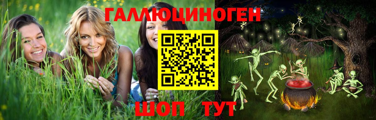 Лесной  Галлюциногенные грибы прущие грибы  где найти   Вход с VPN 