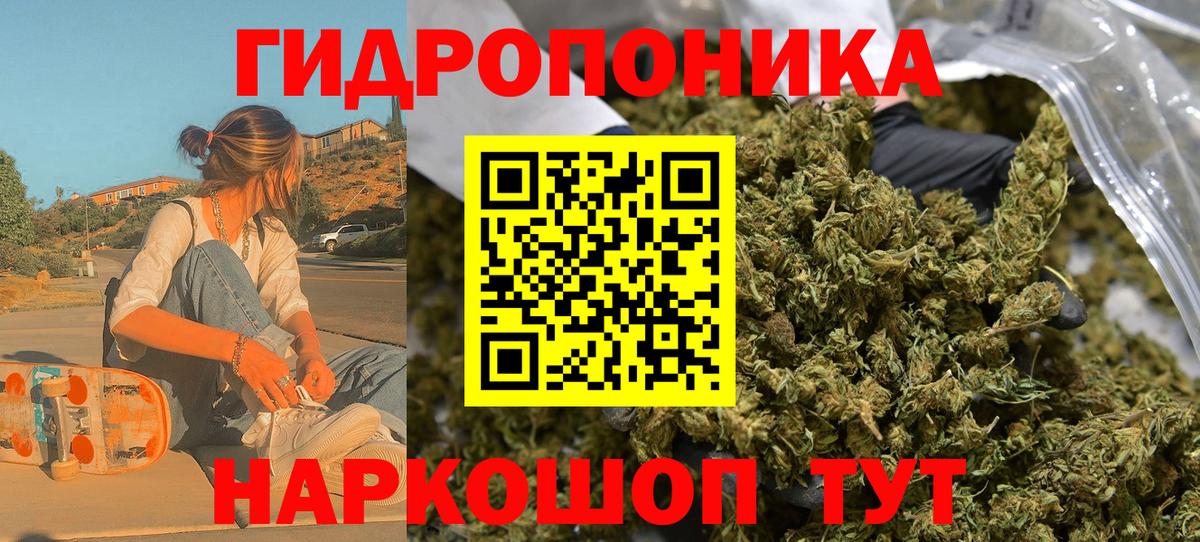 Бошки марихуана MAZAR Лесной